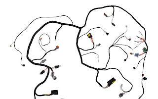 1001130285 Harness, Engine (TL6/9) | JLG