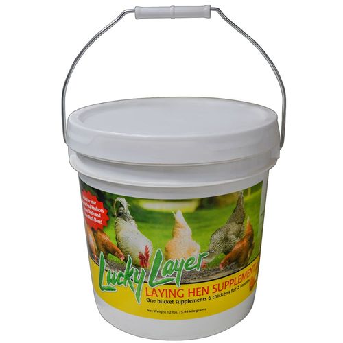 Lucky Layer Laying Hen Supplement 12 lb. Pail