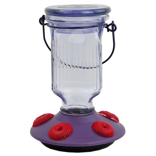 Purple Glass Humming Bird Feeder, 16 Oz.