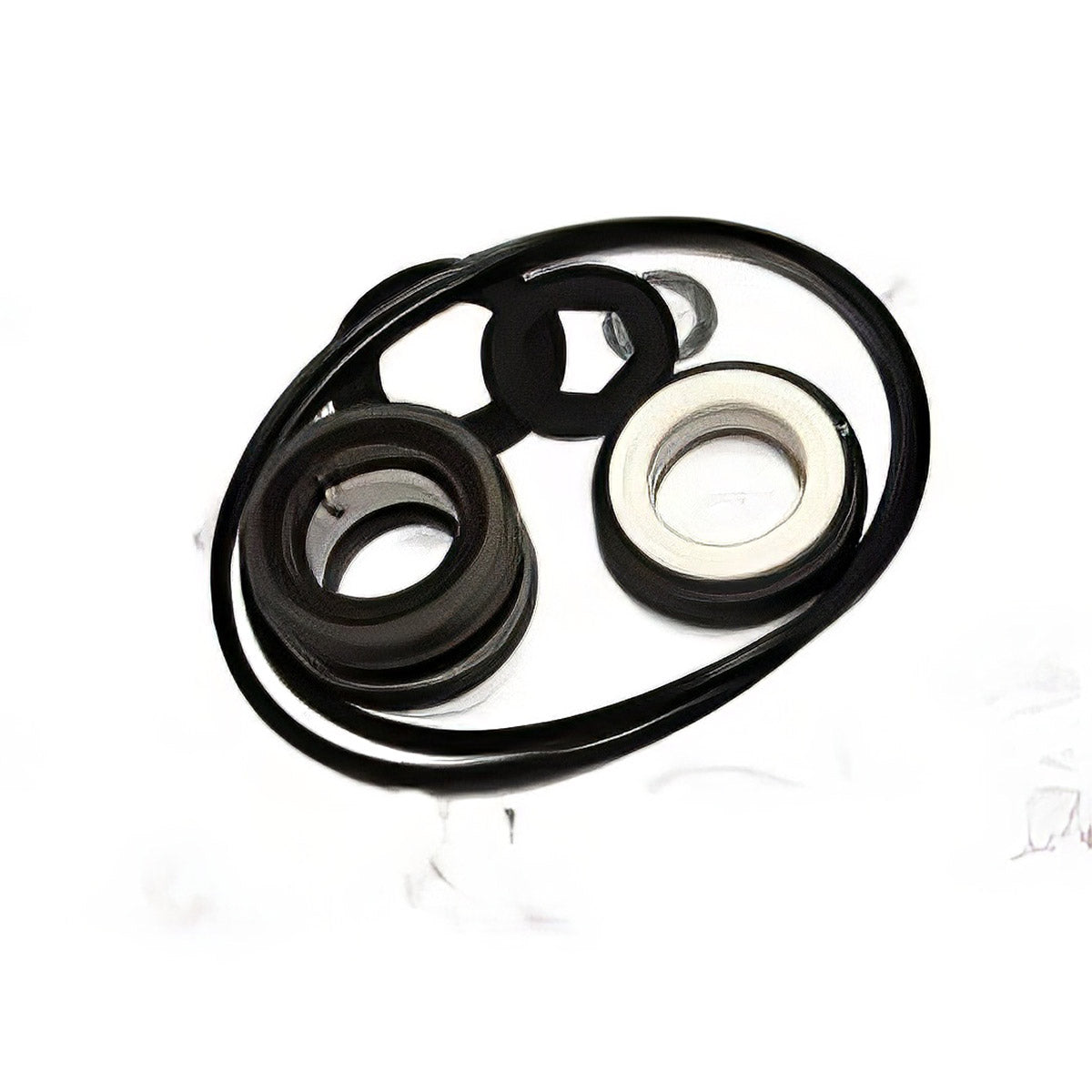 Hypro 3430-0333 Repair Kit 9000