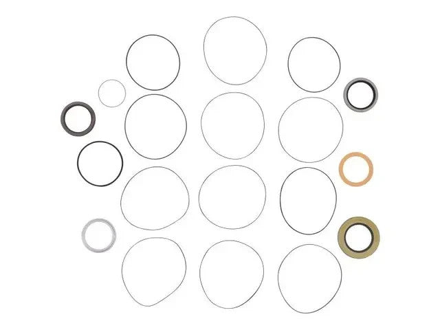 Genie Part # 44782GT – Seal Kit