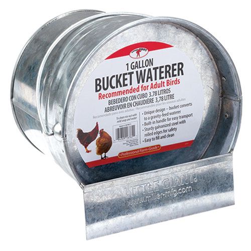 Galvanized Bucket Waterer, 1 Gallon