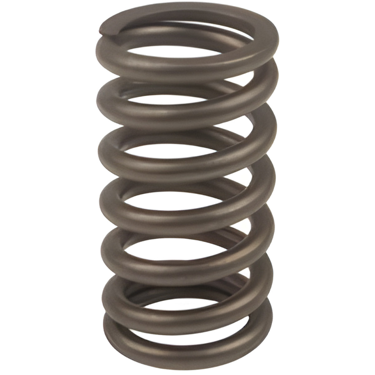 VALVE SPRING