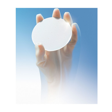 12" Cl 100 CR Silicone Solvent Glove, Large,QRP - Size L, Clear 1 Pair - CE Chemical Gloves 90G