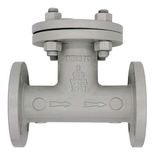 Titan Flow Control 6 in. Flange End Carbon Steel Tee Type Strainer