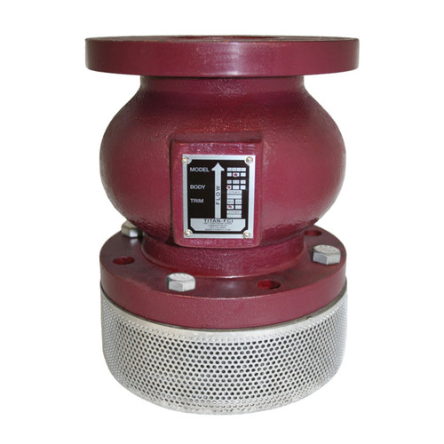 Titan Flow Control FV50DI0200 2 in. Foot Valve Assembly, Ductile Iron
