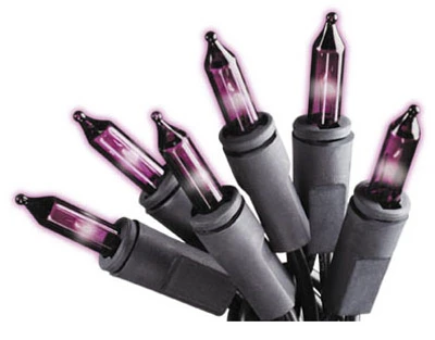 Halloween 100-Ct. Light Set, Purple