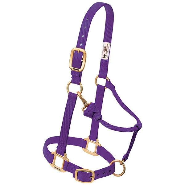 Snap Halter, Adjustable, Purple Nylon, 1 In.