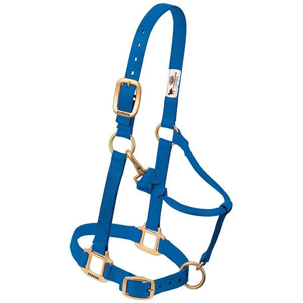 Snap Halter, Adjustable, Blue Nylon, 1 In.