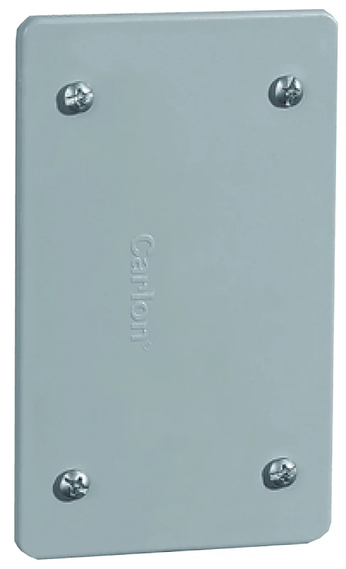 Field Service PVC Blank Box Cover, With Mounting Screws