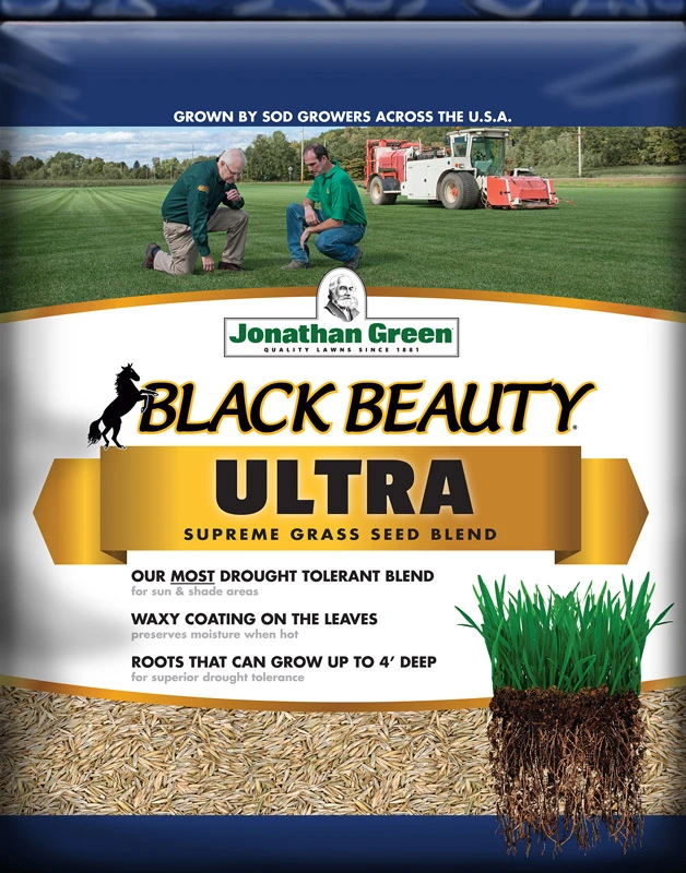 Black Beauty Ultra Grass Seed, 1 Lbs., Covers 400 Sq. Ft.