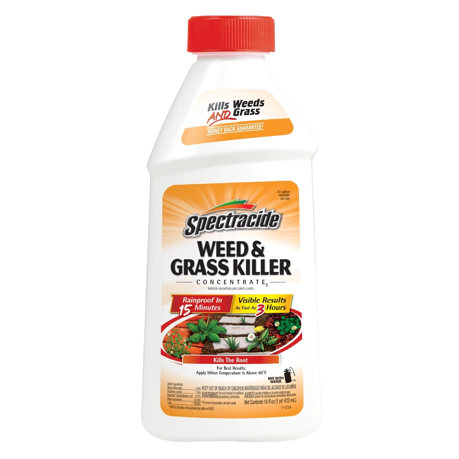 Weed & Grass Killer, 16-oz. Concentrate