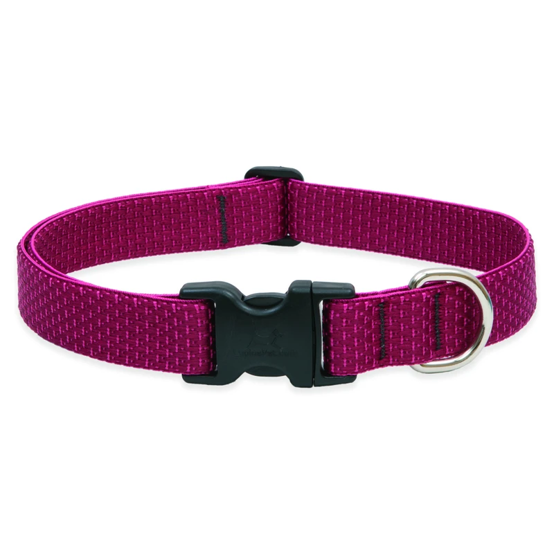 Eco Dog Collar, Adjustable, Berry, 1 x 12 to 20-In.