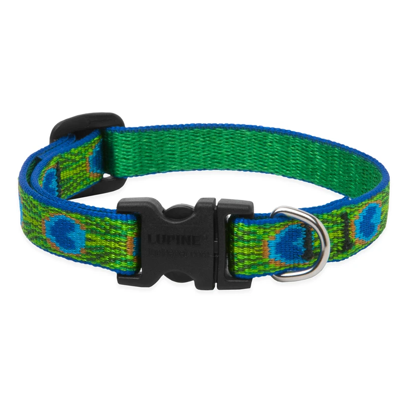 Dog Collar, Adjustable, Tail Feather, 1/2 x 10 to 16 In.