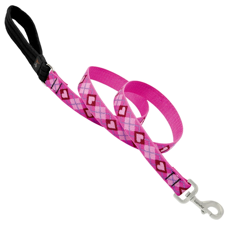 Dog Leash, Puppy Love Pattern, 1-In. x 6-Ft.