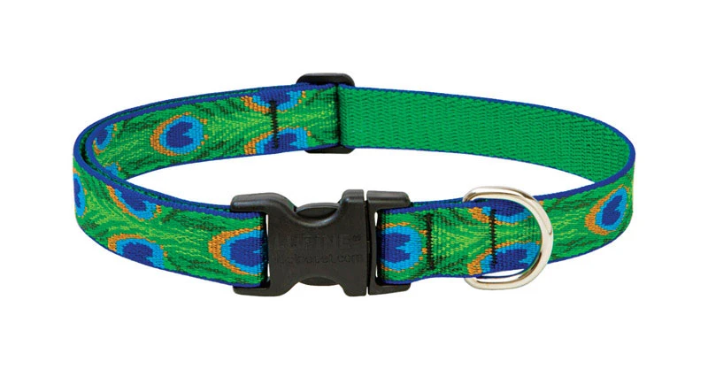 Dog Collar, Adjustable, Tail Feather, 1 x 12 to 20 In.