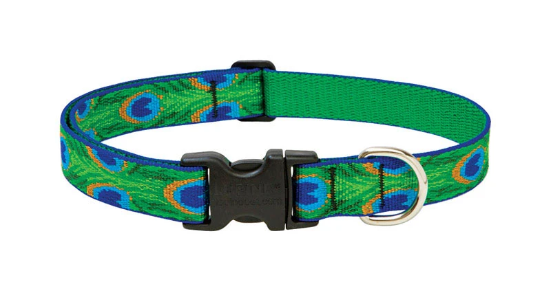 Dog Collar, Adjustable, Tail Feather, 1 x 16 to 28 In.