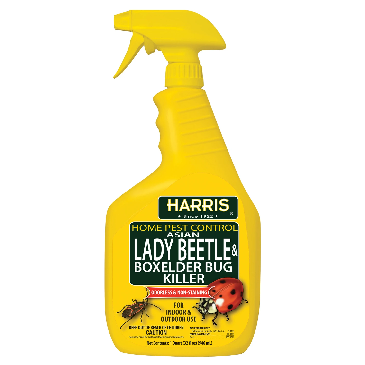Asian Lady Beetle & Box Elder Bug Killer, 32-oz.