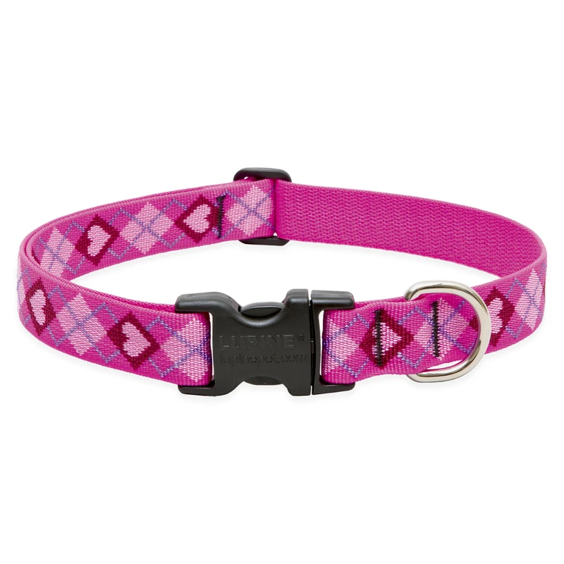 Dog Collar, Adjustable, Puppy Love, 1 x 12 to 20-In.