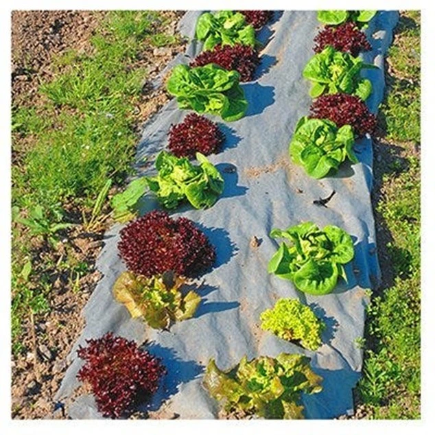 Biodegradable Natural Weed Barrier Fabric, 3 x 40-Ft.