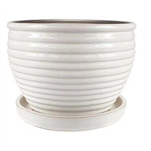 6 In. Honey Jar Planter, Ceramic, White