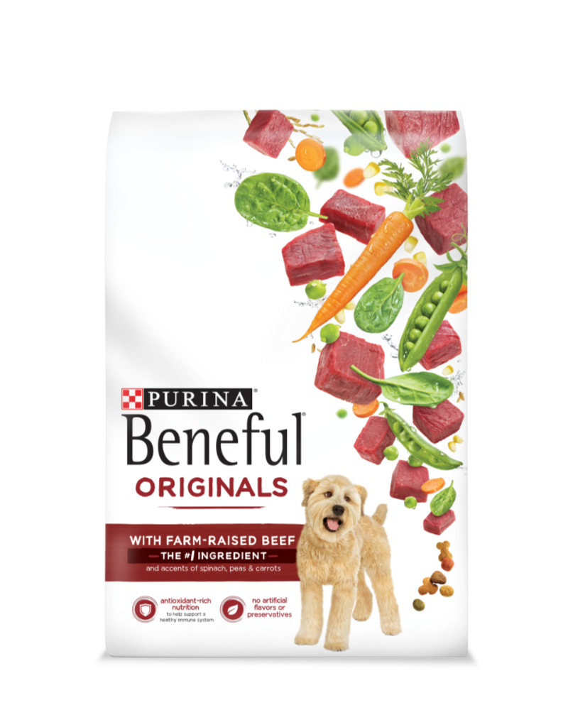 Dry Dog Food, Beef, 28 Lbs.
