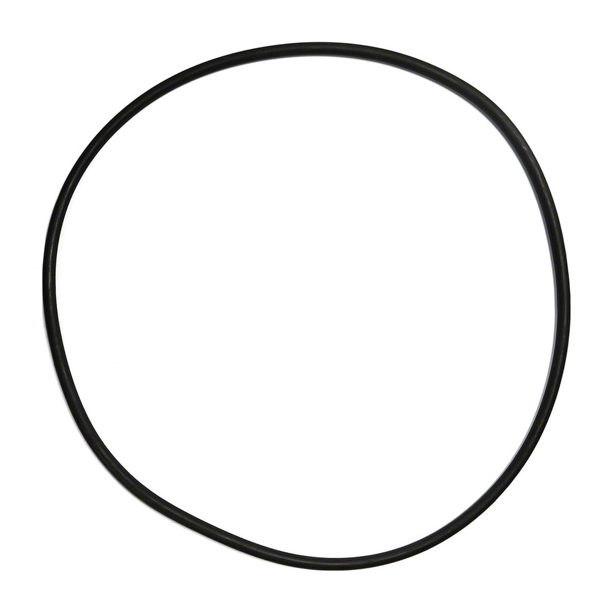 Clean and Clear/Warrior/EasyClean Tank Body O-Ring