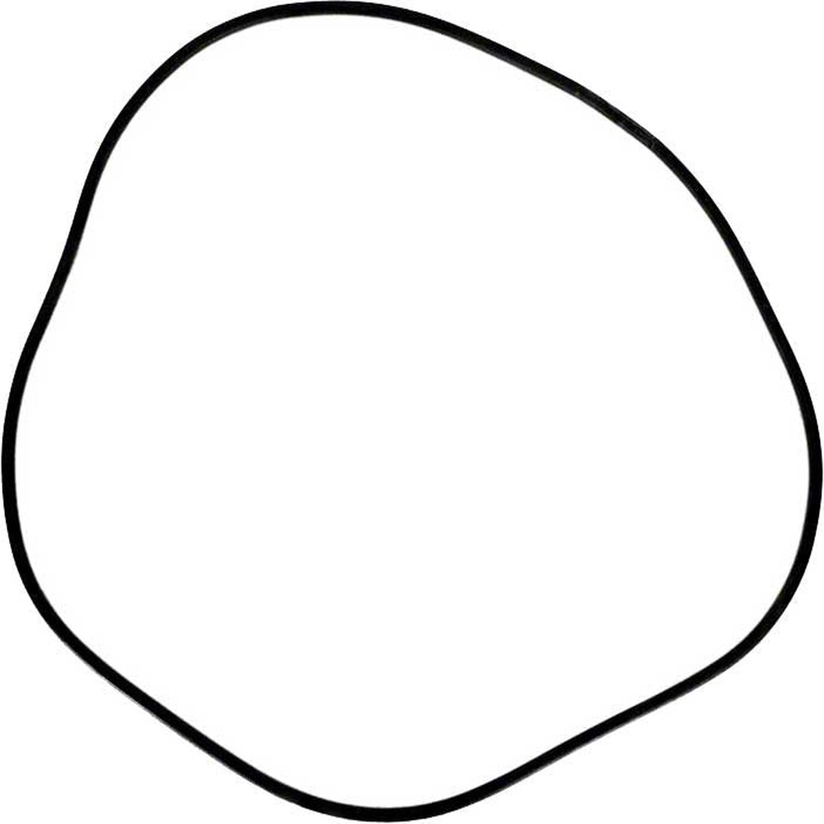 Doughboy Sand Filter O-Ring