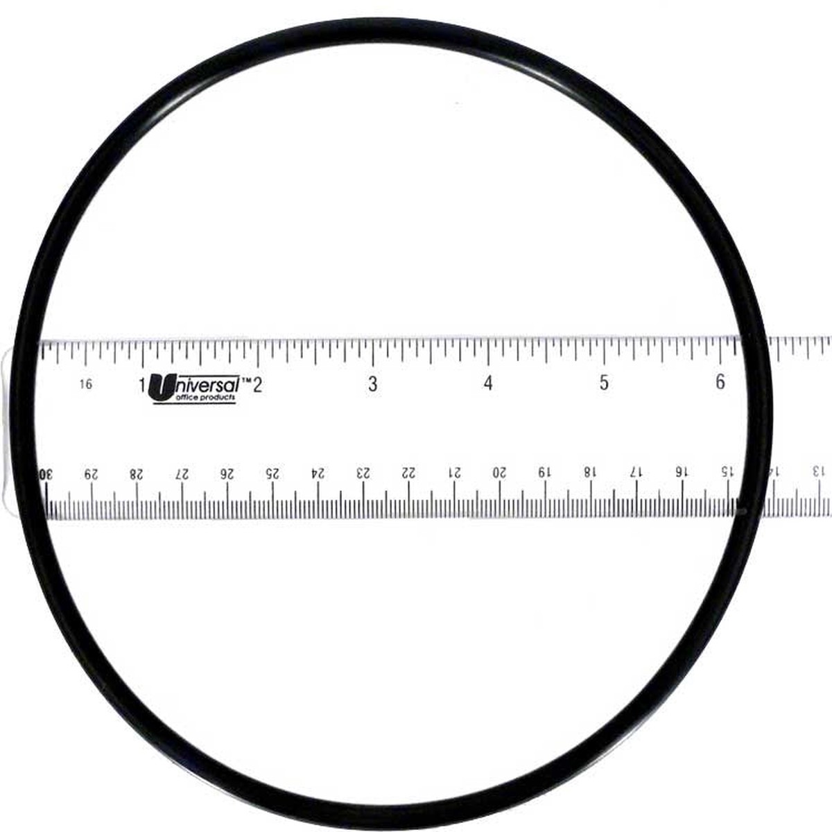 Dynamo Seal Plate O-Ring