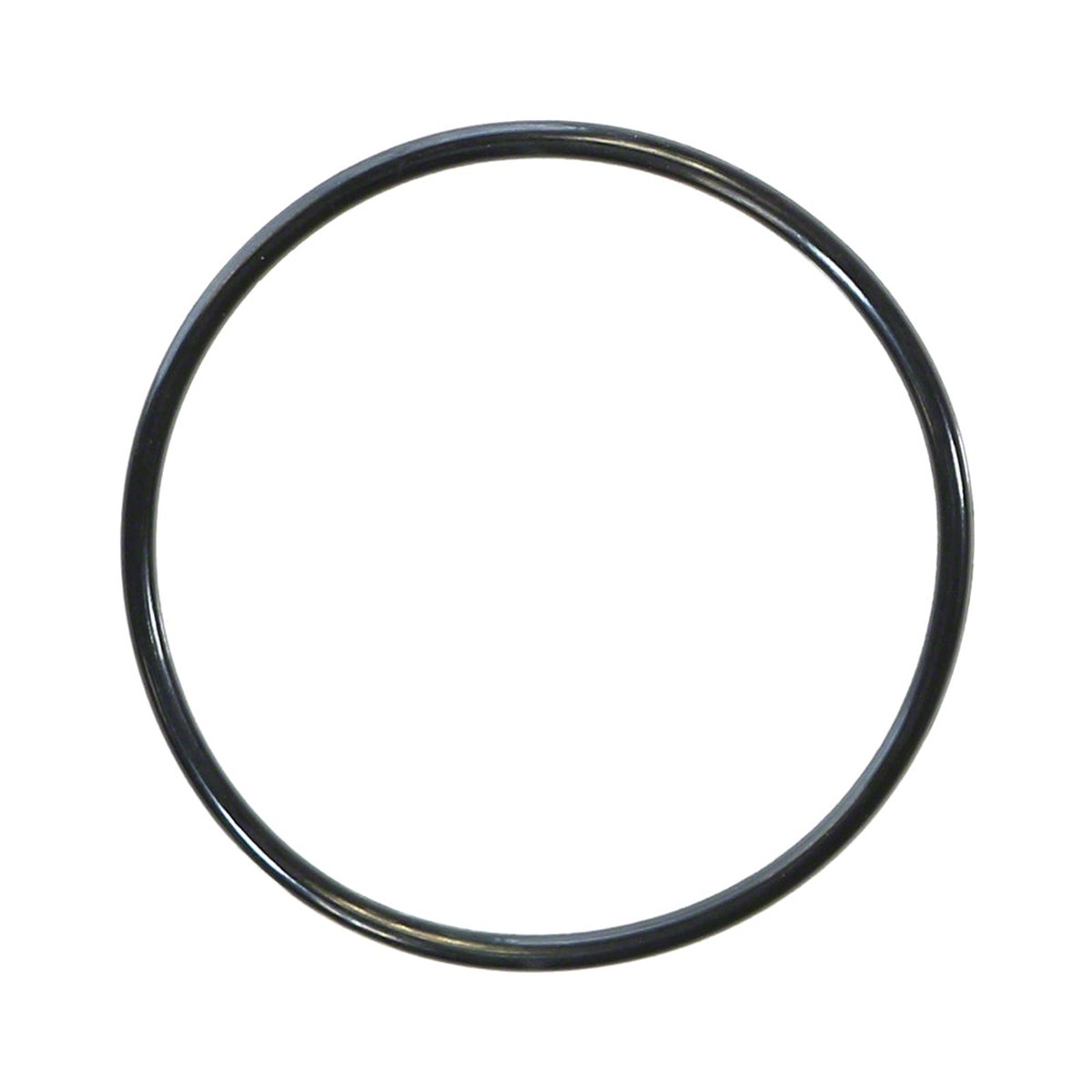 Generic Drain or Flush Plug O-Ring for SP1022B/C