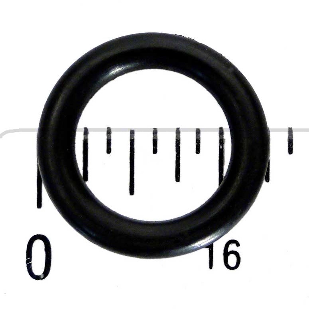 Generic Drain Plug O-Ring for Dominator FMXP2