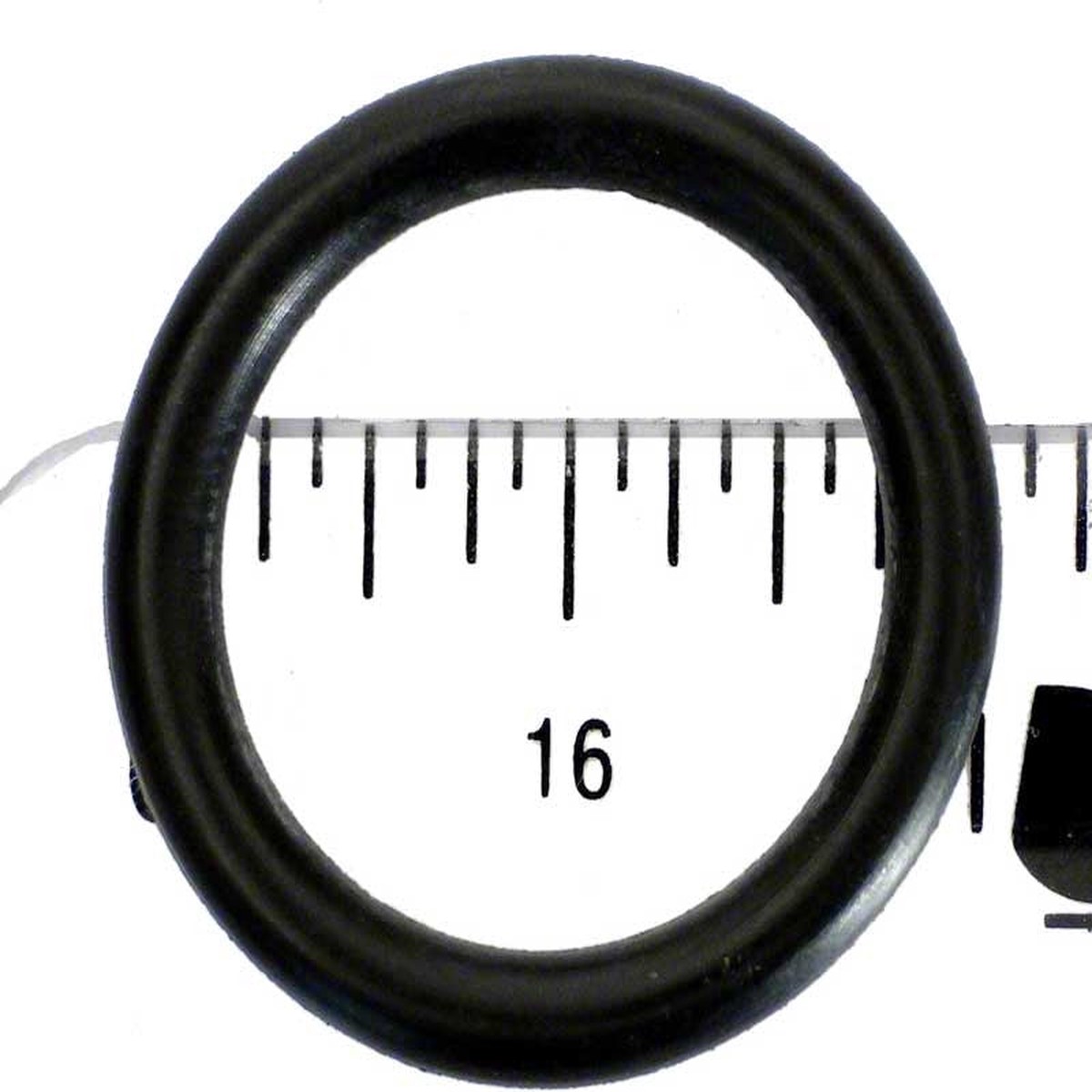 Generic O-Ring for Eclipse Filters