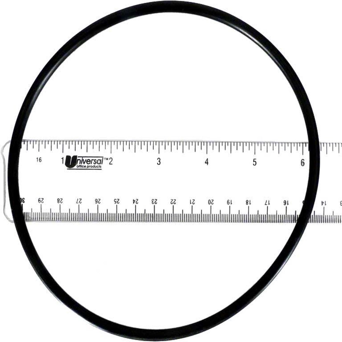 Generic Pump Volute O-Ring