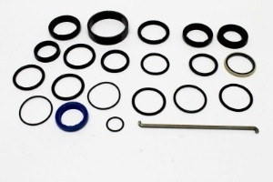 Genie Lift Part # 8931GT - SEAL KIT,FOR 1.13 ROD (LANTEX), EA