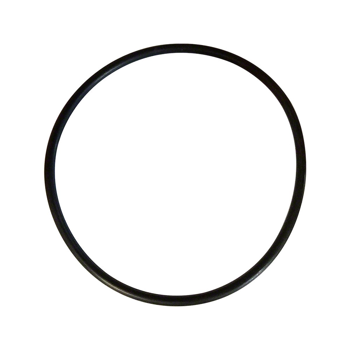Model 320/322 Chemical Feeder Lid O-Ring