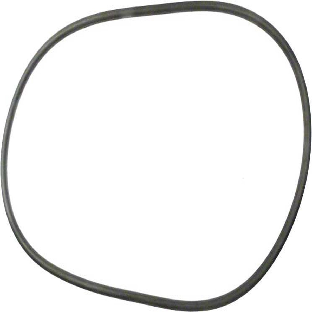 Purex 4000 Series Lid O-Ring