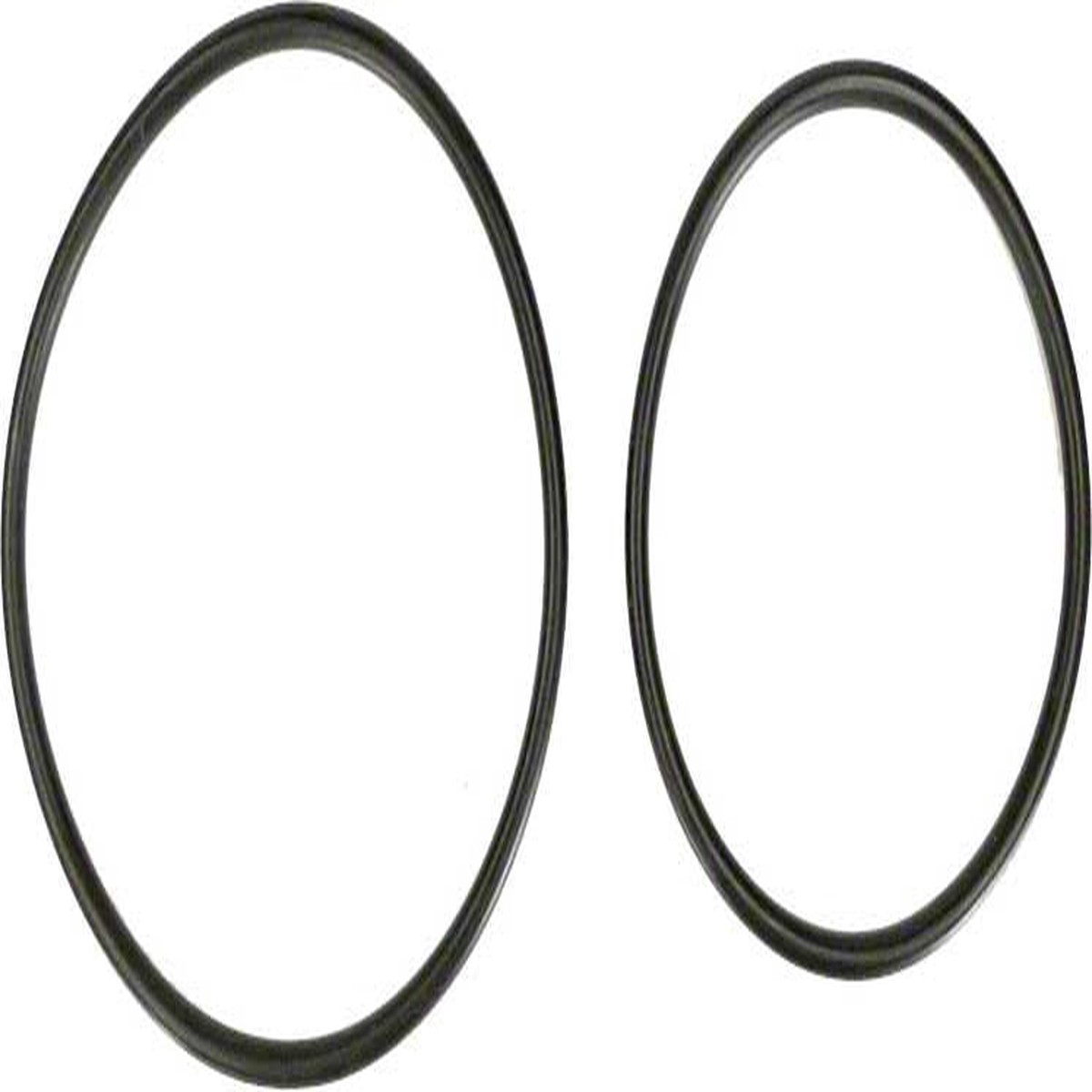 SwimClear/HCF O-Ring Kit