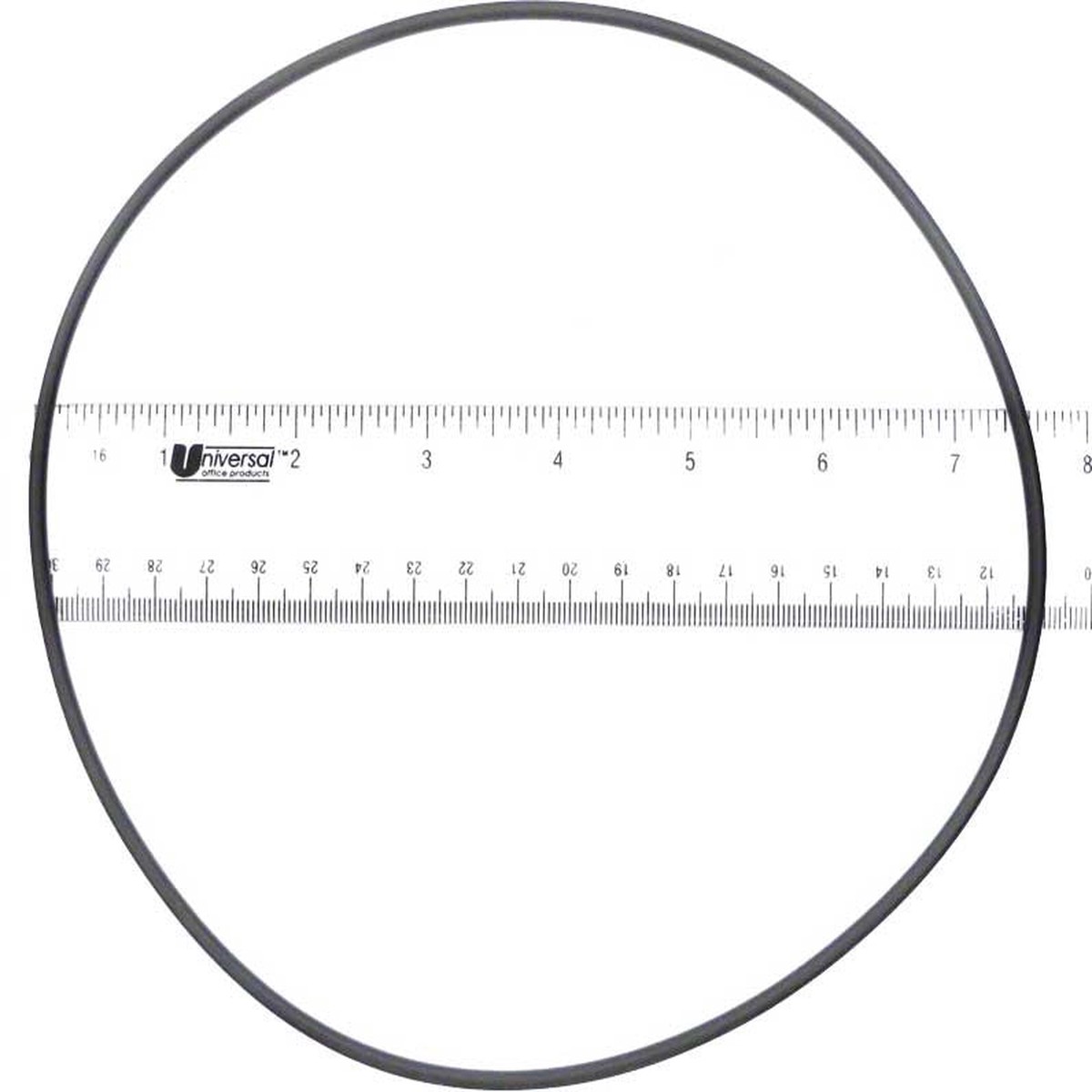Swimquip Skimmer O-Ring